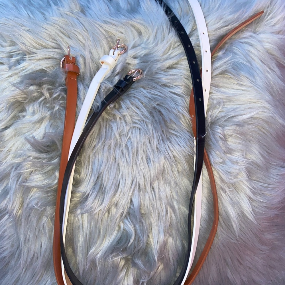 BELTS